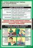 Комплект таблиц «Правила оказания ПМП» (первой медицинской  помощи)15 таблиц
